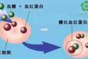 血红蛋白高的原因及危害 血红蛋白高的原因及危害怎样治疗