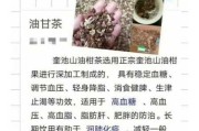 恭城油茶什么人不适合喝 恭城油茶好处