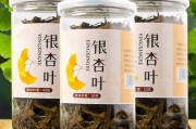 银杏茶是热性还是凉性 银杏茶是什么味道