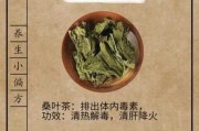 金菊桑叶茶的功效与作用 金菊桑叶茶的功效与作用