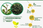 苦丁毛尖茶的功效与作用 苦丁茶叶的功效是什么