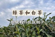 福鼎白茶和绿茶的区别 福鼎白茶和绿茶的区别在哪里