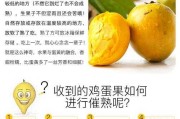 蛋黄果的营养价值 蛋黄果的功效与作用营养价值