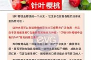 樱桃叶的药用价值 樱桃叶子有什么功效