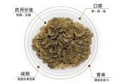 灰树花的食用方法 灰树花怎样食用可以抗癌