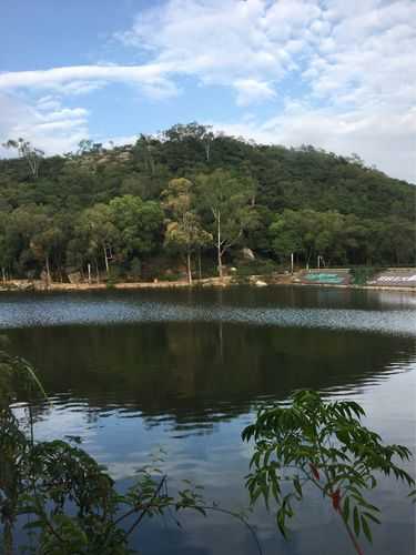 黄花山核桃好吃吗 黄花山旅游景区