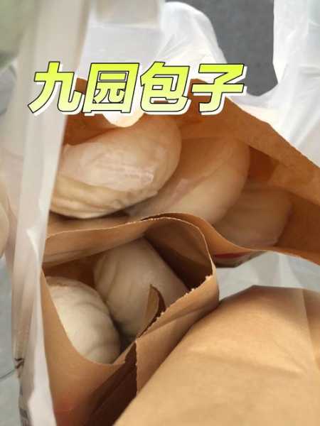 九圆包子的做法视频 九圆包子加盟费多少