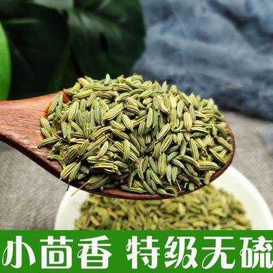 新疆小茴香产量 新疆茴香价格2020