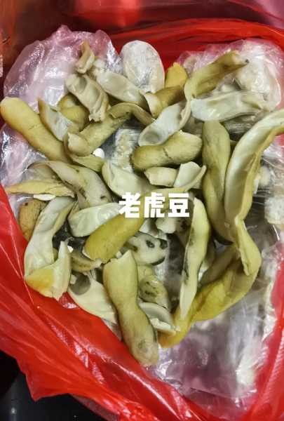 炸老虎豆的做法怎样做 炸老虎豆的做法怎样做好吃