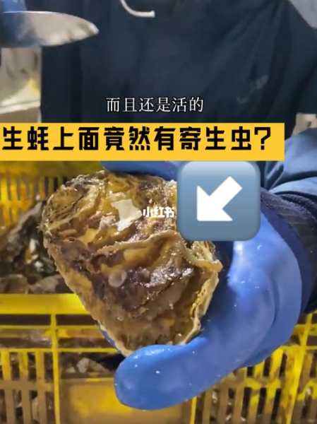 烤生蚝有寄生虫吗 烧烤摊的生蚝有寄生虫吗