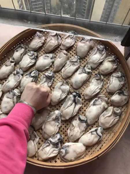 蚝饭隔夜可以吃吗 蚝饭隔夜可以吃吗有毒吗