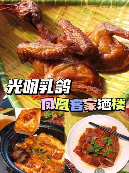 光明乳鸽哪家店好吃 光明乳鸽哪家好吃地点