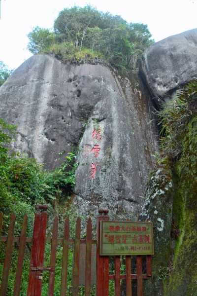 太姥山和绿雪芽什么关系 绿雪芽太姥娘娘开光茶价格