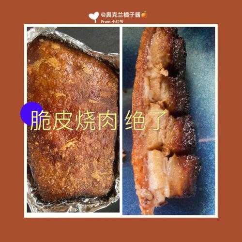 脆皮烧肉怎么加热 脆皮烧肉怎么加热比较好吃