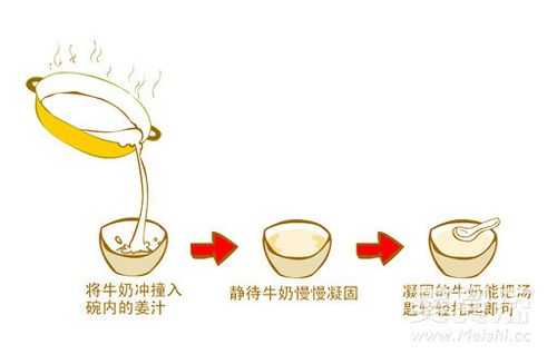 姜撞奶是哪里的特产 姜撞奶的配方和制作方法都传授给你