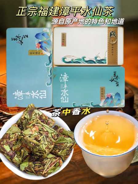 漳平水仙茶属于什么茶 漳平水仙茶属于什么茶种