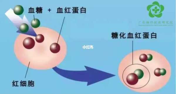 血红蛋白高的原因及危害 血红蛋白高的原因及危害怎样治疗