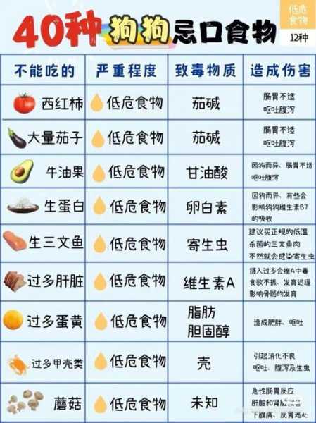 狗肉不能和什么食物一起吃 狗肉不能和什么食物一起吃最好