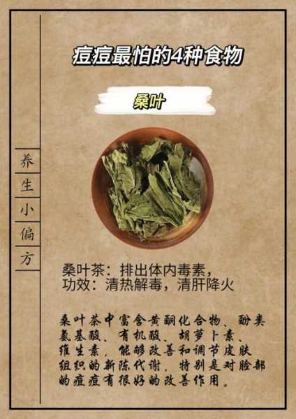 金菊桑叶茶的功效与作用 金菊桑叶茶的功效与作用