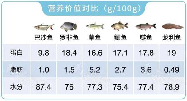 白鱼营养价值高吗 白鱼的营养成分