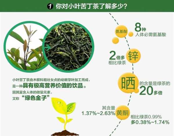 苦丁毛尖茶的功效与作用 苦丁茶叶的功效是什么