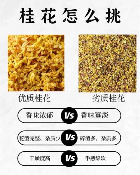 桂花叶的作用和功效与作用 桂花叶的药用功效