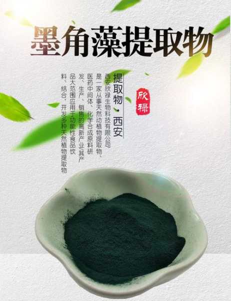 墨角藻有什么作用 墨角藻fucus vesiculosus提取物