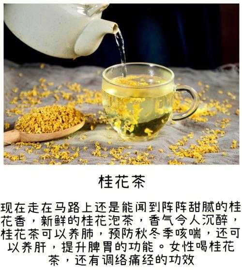 广西桂花茶有什么功效 桂花茶的作用和功效特点