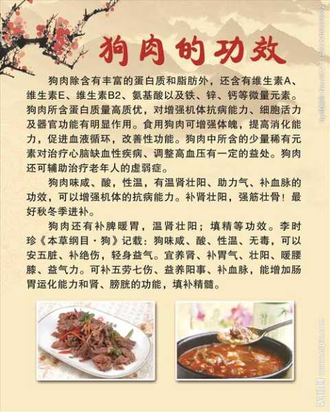 狗肉的做法及配料 广东焖狗肉的做法及配料